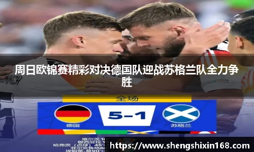 bsports官网