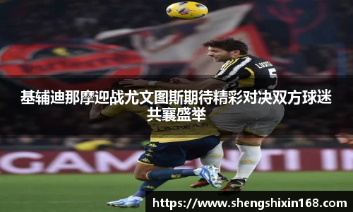 bsports官网入口