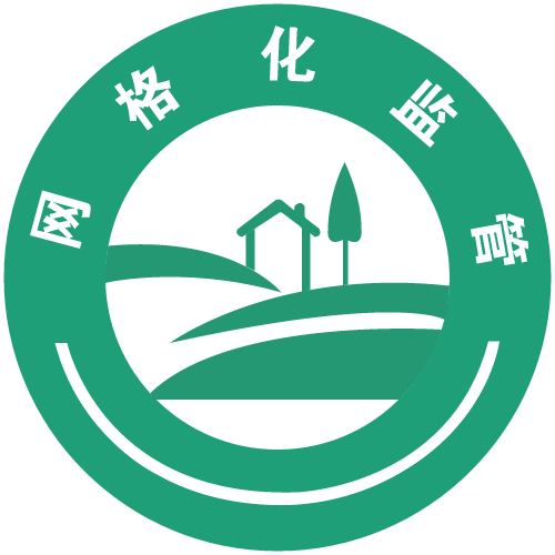 施美华